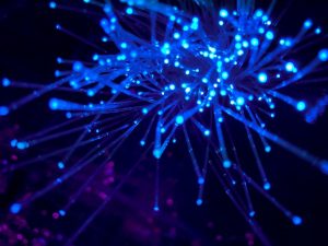 Networked and Online Learning (2025)